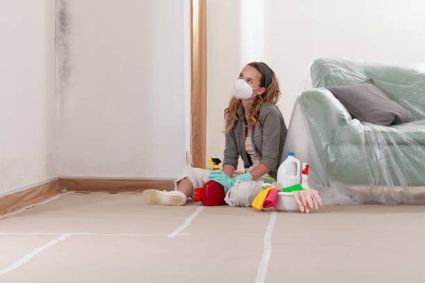 Reliable Basement Mold Remediation contractor in Holmdel, NJ by 24 Hour Mold Removal